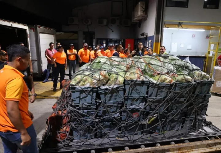 El Gobierno espera transportar más de  68 mil libras de productos.