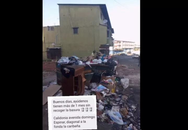 Hace un mes no pasa el camión recolector.