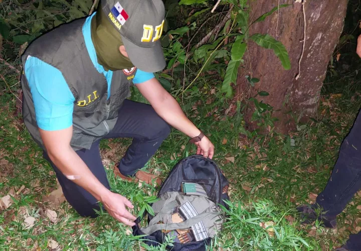 Municiones en el maletín.