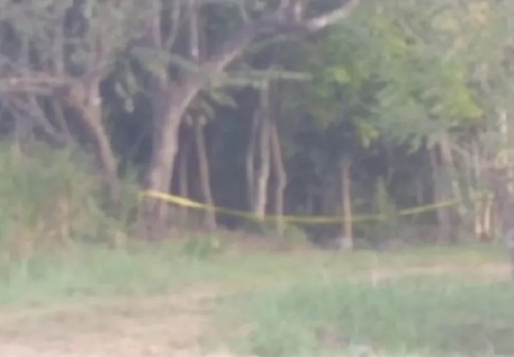 Vista general del área en donde fue ubicada la víctima. Captura de video