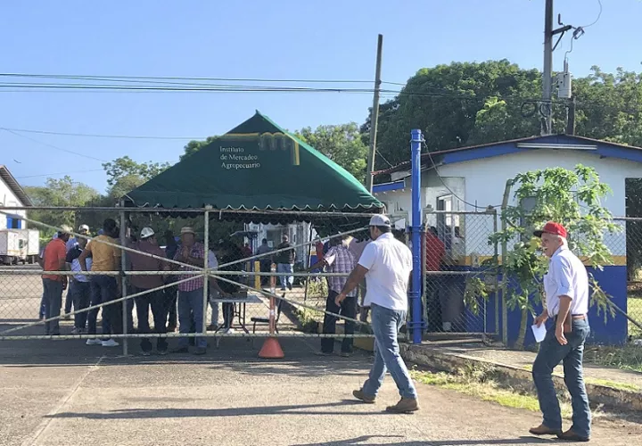  Los productores se reunieron este miércoles y realizaron una jornada de protesta de advertencia.
