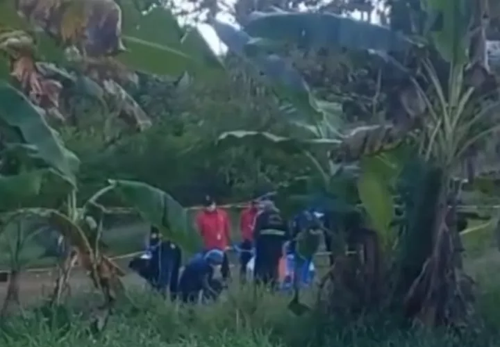 Vista general de la escena del crimen.