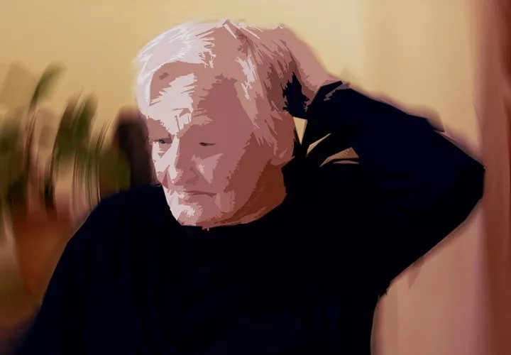 La investigación &quot;refuerza la idea de que hay algunos alimentos que podrían ser beneficiosos para la salud cerebral&quot;. Imagen ilustrativa / Pixabay