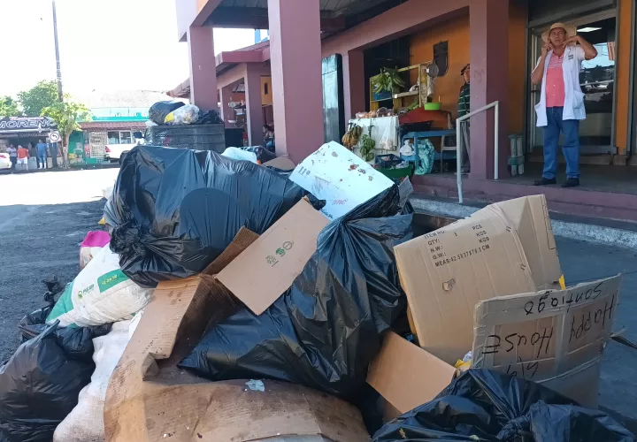 Están cansados de sufrir por mala disposición de la basura.