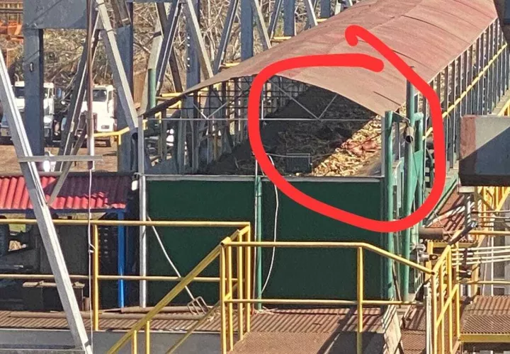 Escena del macabro hallazgo.