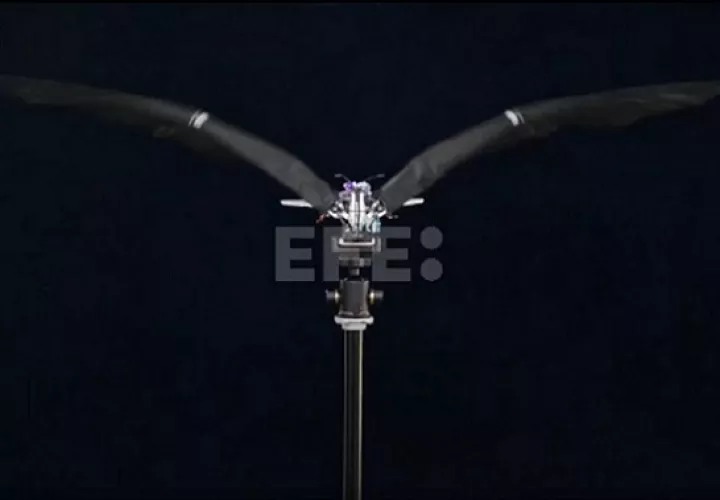 El avión vuela batiendo sus alas como las aves. Captura de video / EFE