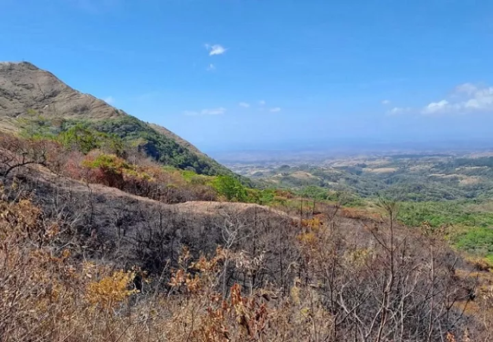Investigan afectación en la reserva natural Cerro La Silla.