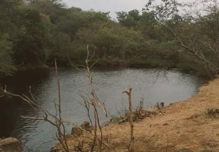 Vista general de la quebrada La Marcela, ubicada en el corregimiento Corral Falso, distrito de San Francisco, Veraguas.. 