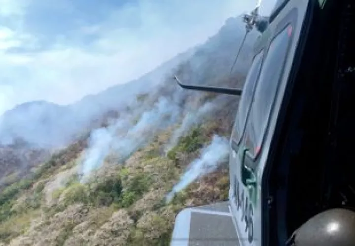 Más de 10 horas de labores de extinción.