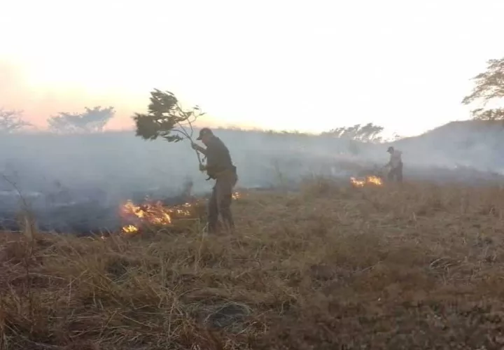 Trabajaron por más de 4 horas para controlar el incendio.