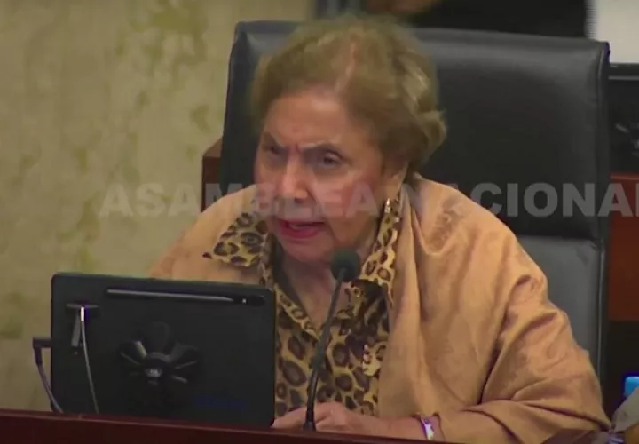 Diputada Mayín Correa.