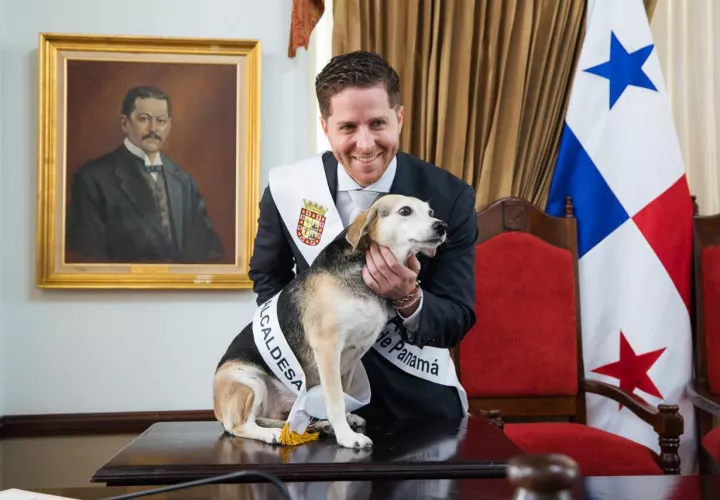 La mascota &quot;Tina&quot;, fue posesionada simbólicamente con encargada de la Dirección de Bienestar Animal.