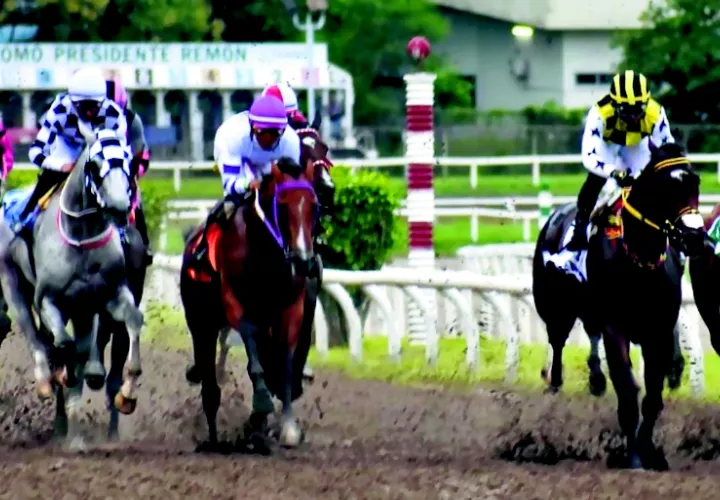 Participantes del Clásico Presidente de la República disputado el pasado 7 de junio en el Hipódromo Presidente Remón.