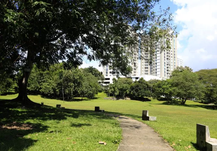 La Corte Suprema concluyó que la normativa cumple con los principios legales vigentes.