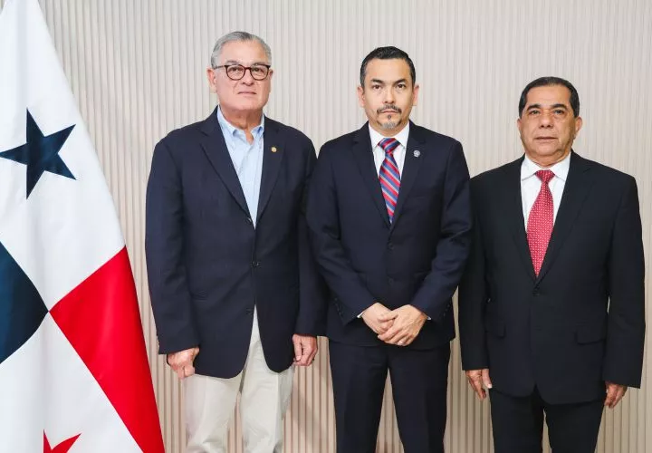 Todas las autorías son sobre los delitos relacionados con la administración pública, como peculado, corrupción, contrataciones públicas y otras.