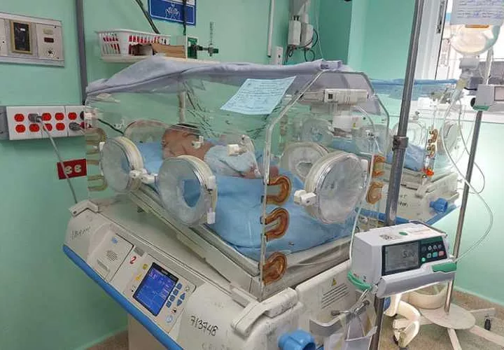 El equipo del banco recoge la leche directamente en sus hogares de las madres donantes.