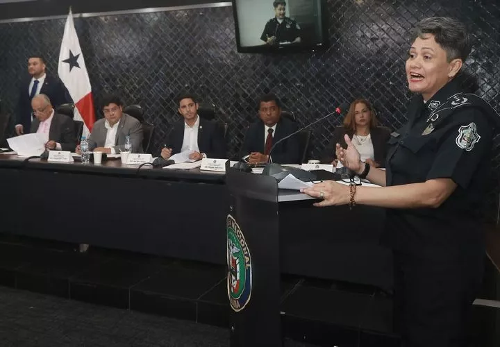 Comisión de Gobierno de la Asamblea Nacioanal de Diputados.