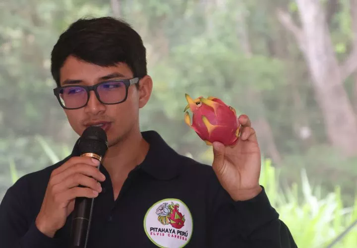 La pitahaya también es conocida como la fruta del dragón.