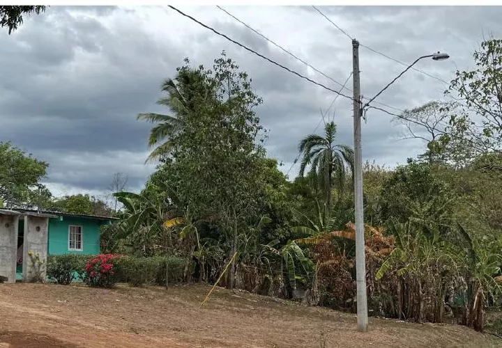 483 corresponden a Bocas del Toro.