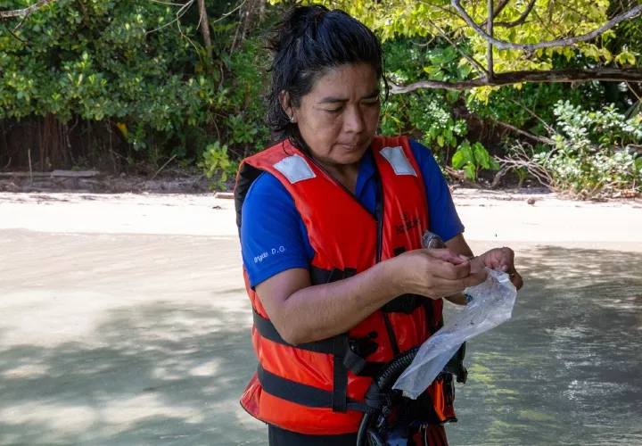 la especialista en identificación de fósiles marinos, Brígida de Gracia.