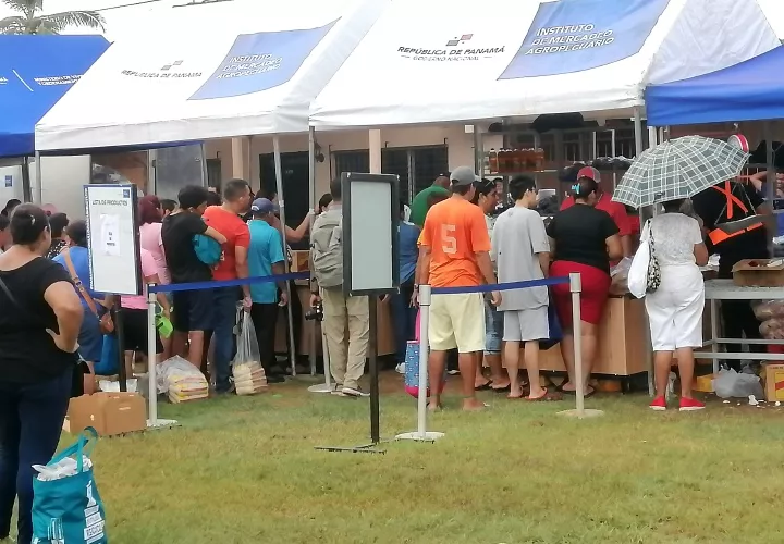 Arranca la naviferia.