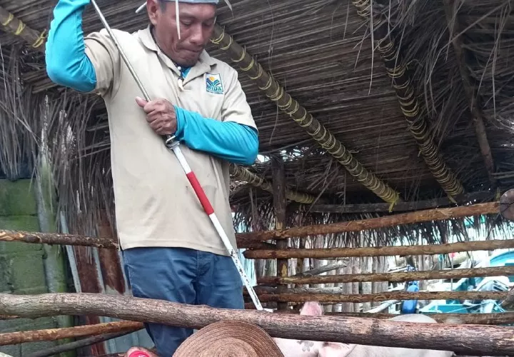 Esta incursión incluyó la recolección de muestras para su respectivo análisis.