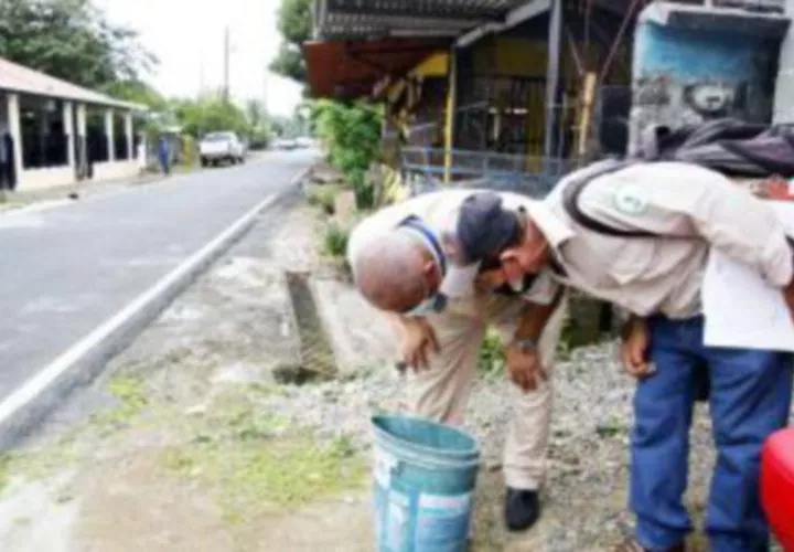 Se han intensificado los operativos para combatir los criaderos de mosquitos.