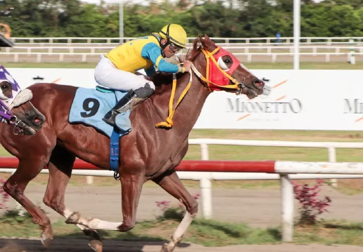 Finfirinsiti ganó la carrera.