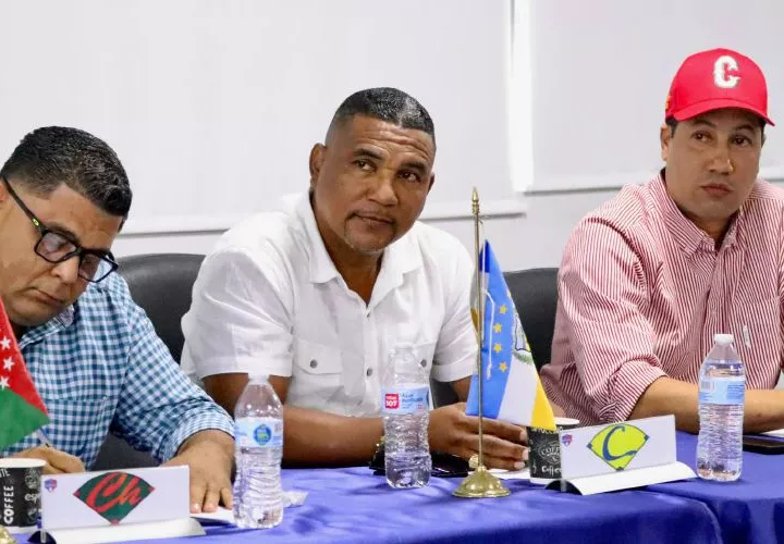 Reunión Plenaria de la Fedebeis.