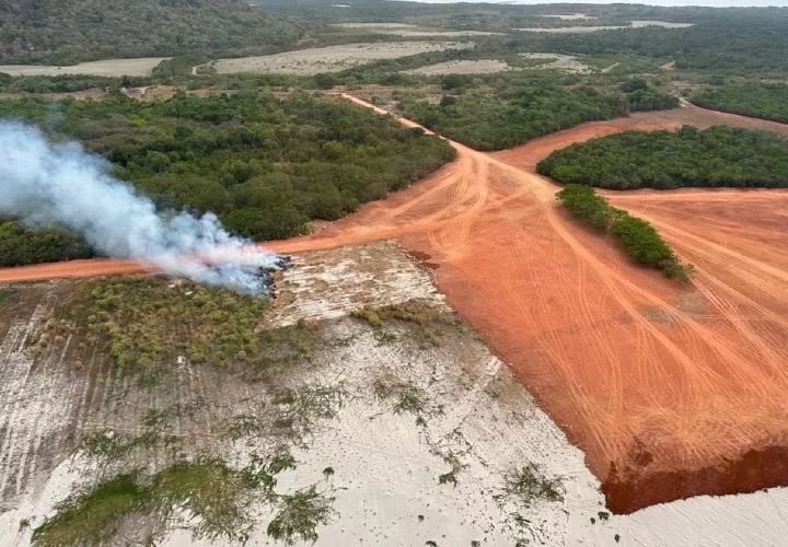 Varias hectáreas de manglares han sido destruidas. 