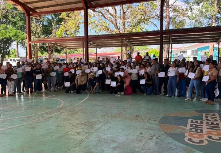 Recibirán capacitación enfocada en el crecimiento de sus negocios.