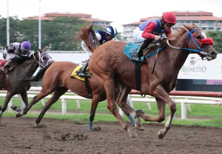 El ejemplar Wonder Lady lidera la carrera en los metros finales del Clásico Felipe E. Motta que se disputó ayer domingo en el Hipódromo Presidente Remón. 