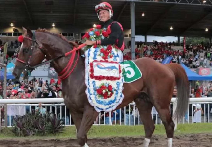 El ejemplar Takao conquistó la versión N.°97 del Clásico Presidente de la República que se disputó el domingo 7 de junio en el Hipódromo Presidente Remón. 