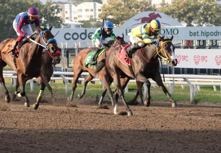 El ejemplar Doña Perfecta (adelante en la foto) está lista para el Clásico Tomas Gabriel Duque y Tomás Gabriel Altamirano Duque.