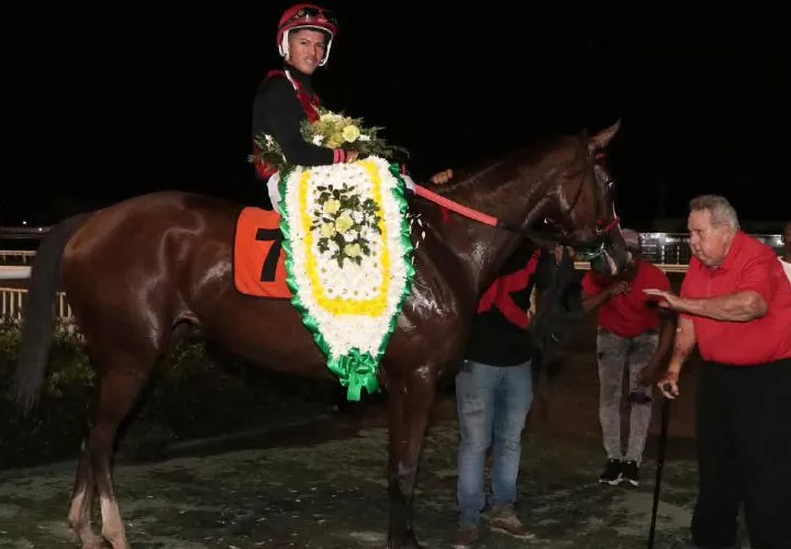 El destacado preparador de caballos, Alberto Paz Rodríguez, conocido popularmente como ‘Droopy’, recibiendo a Aradia en el círculo de ganadores.