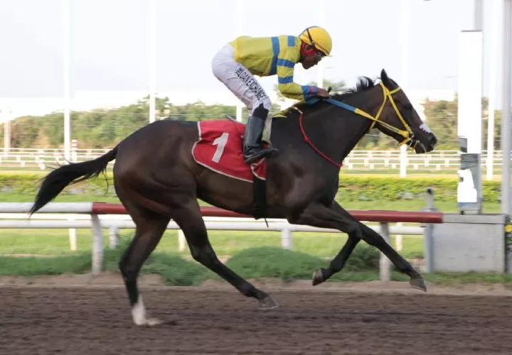 Doña Perfecta ganó el Clásico Temístocles Díaz Q., primera gema de la Triple Corona de hembras.