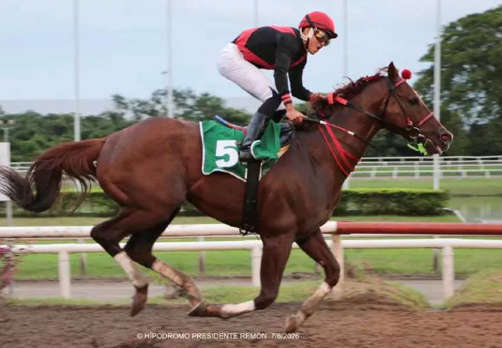 Takao, ejemplar ganador del Clásico Presidente de la República, el cual se disputó el pasado 7 de junio en el Hipódromo Presidente Remón.