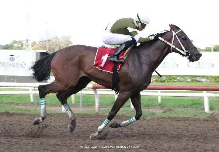 El ejemplar Buonasera, con la monta de Yonis Lasso, en los metros finales del Clásico de la Familia Arango, que se disputó ayer en el Hipódromo Presidente Remón.