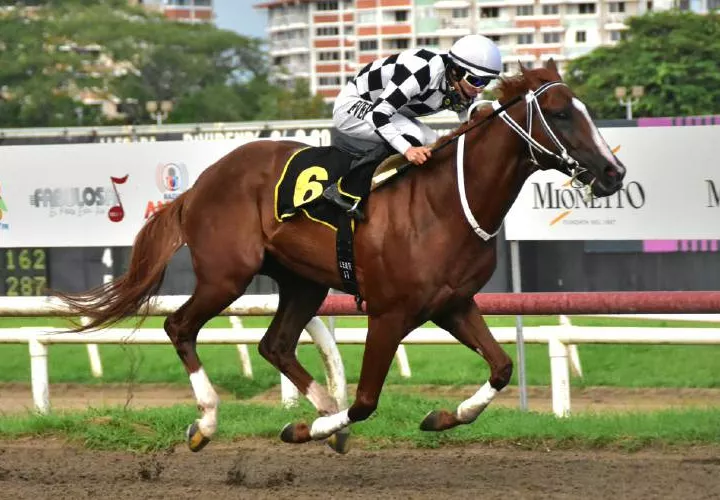 El ejemplar Dandy del Peligro cuando se acercaba a la meta en el Clásico Raúl Espinosa, el cual se disputó ayer en el Hipódromo Presidente Remón.