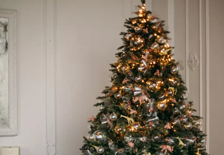 Estilos a nivel mundial para que tomes en cuenta al decorar tu árbol. Foto: Pexels