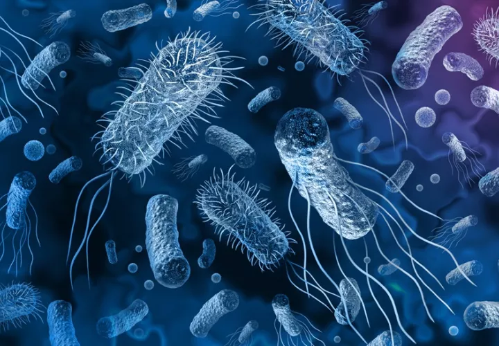 Resistencia a antimicrobianos reducirá esperanza de vida para el 2050. Foto: Cortesía