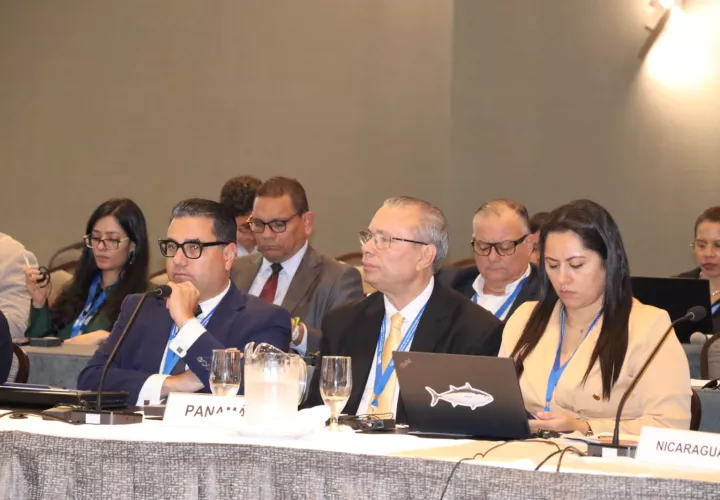 Representación panameña en la reunión internacional.