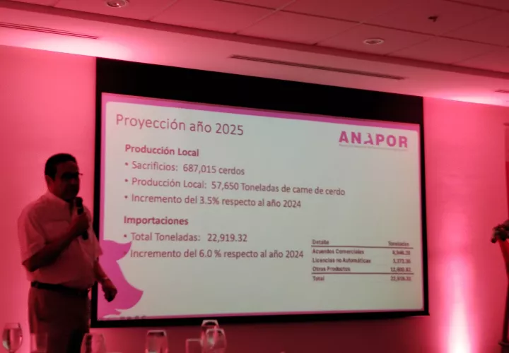 Carlos Pitti, presidente de Anapor. Foto: Maricarmen Camargo