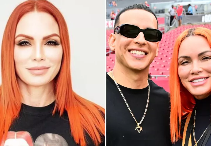 Daddy Yankee, 400 millones, Mireddys González, divorcio, ganancias