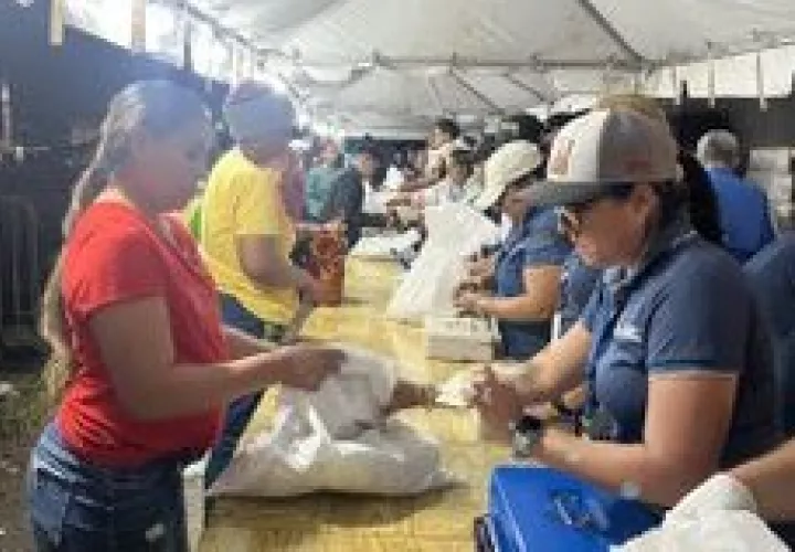 El proceso de venta de las cajas navideñas empezó sin problemas, pero la llegada de la multitud provocó el caos.