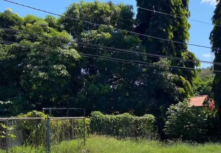Área residencial en La Arena.     (Foto: Noticias Azuero)