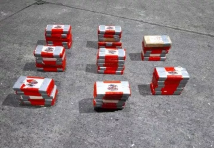 Decomisan 40 paquetes de droga entre cebollas dulces