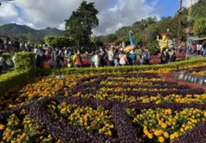 Uno de los jardines con que cuenta la feria.