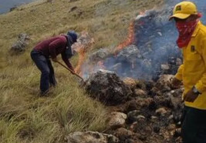 Daños graves al medio ambiente.