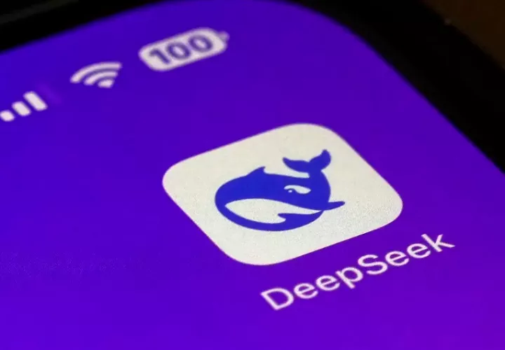 DeepSeek ha optado la filosofía de código abierto. Foto: Instagram